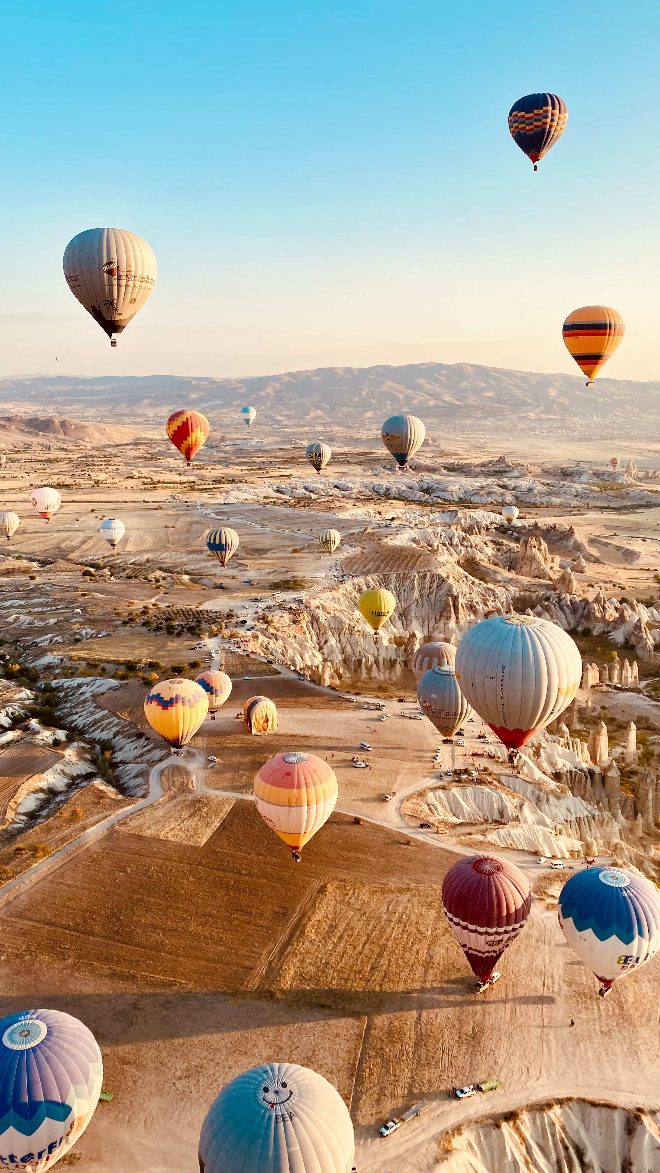 Hot air balloons soaring